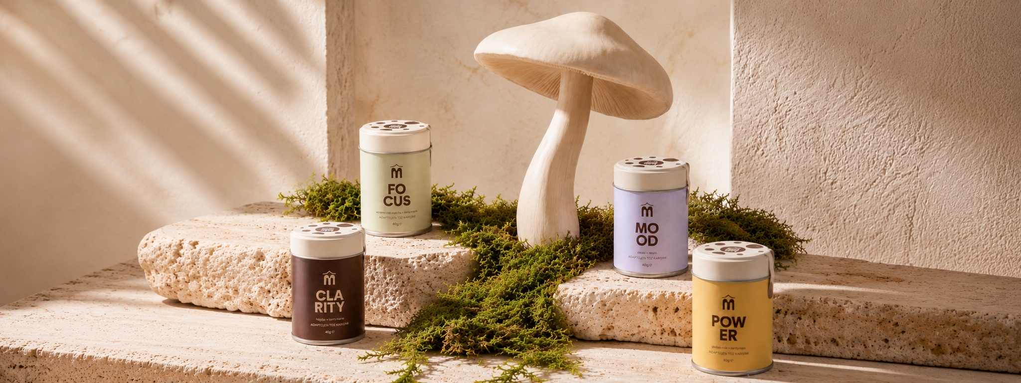 MONDAYS POWDERS