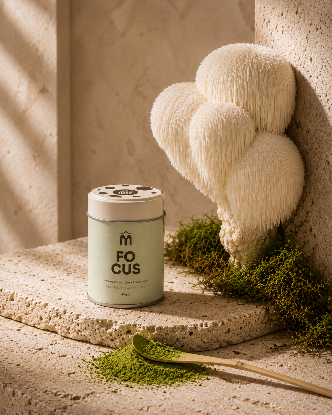 FOCUS- MATCHA & LION'S MANE
