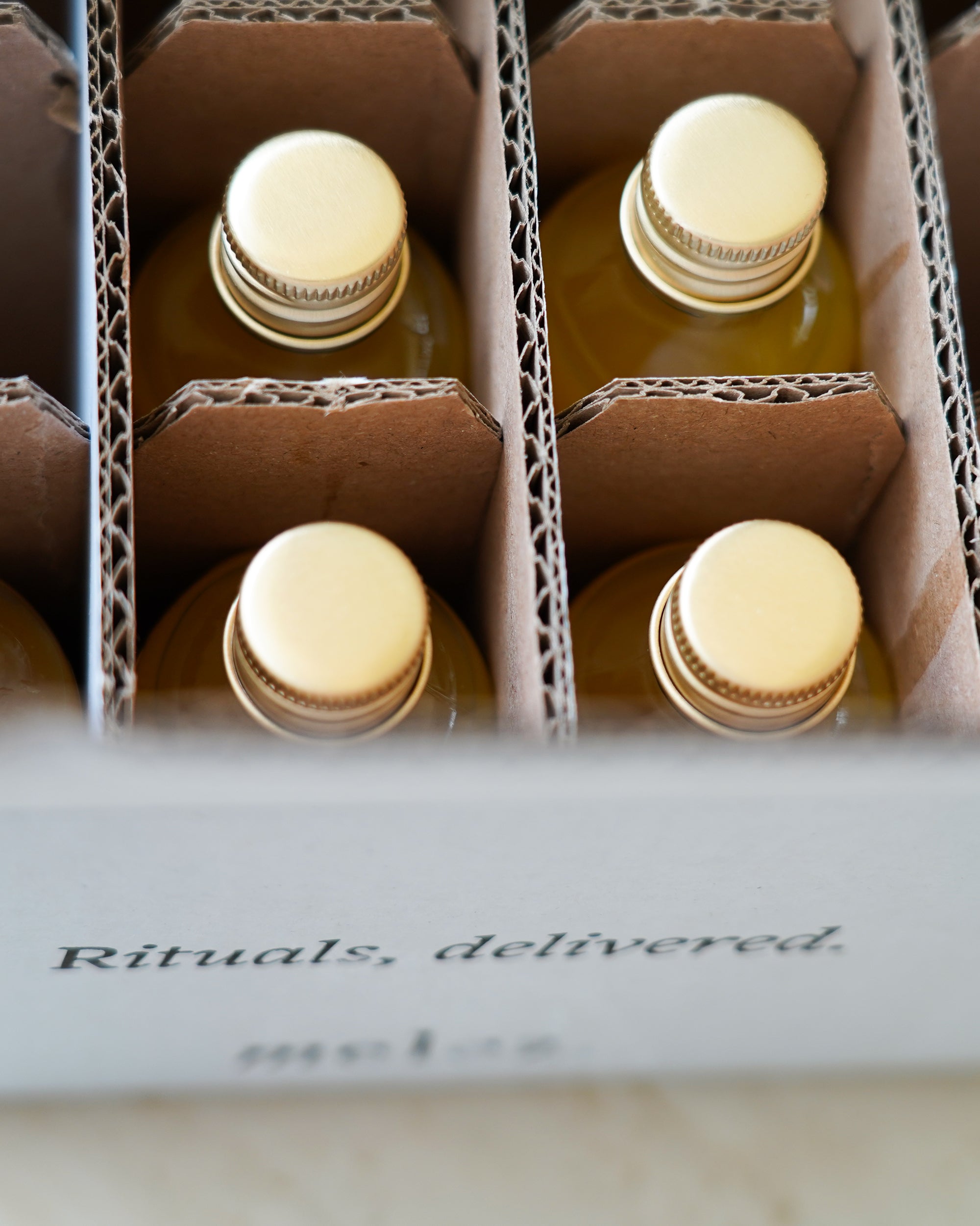 BOOST SHOT 12 Unit Pack | Ginger & Turmeric Wellness Shot